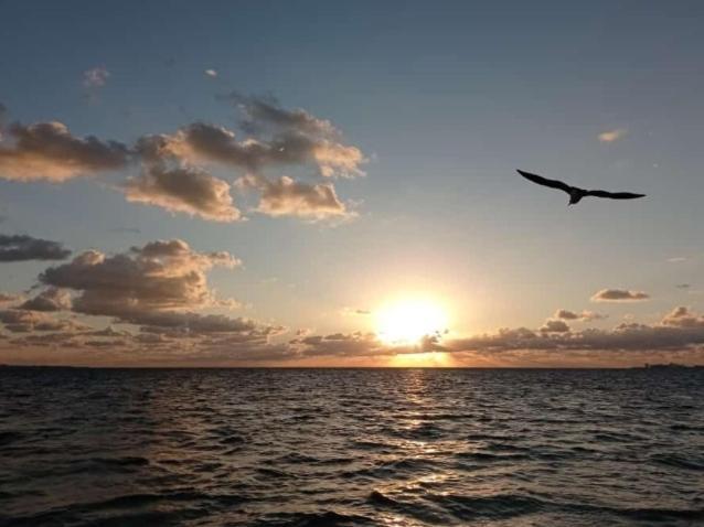 Appartement Corazon Del Pescador à Cancún Extérieur photo